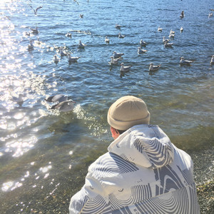 在线免费看欧美性生活三级片
