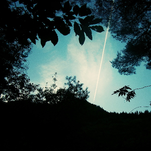 在线免费看欧美性生活三级片
