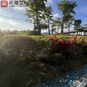 在线免费看欧美性生活三级片
